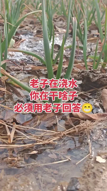 我在做脸，你在干啥，必须用老娘回答😁#记录我的守店日常 #公主归来体康管理 #同城护肤#美容护肤 #XX同城-公主归来体康管理
